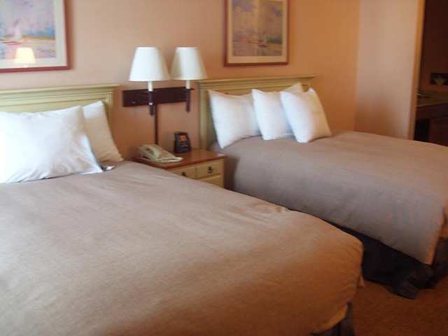 Homewood Suites By Hilton St. Petersburg Clearwater Habitación foto