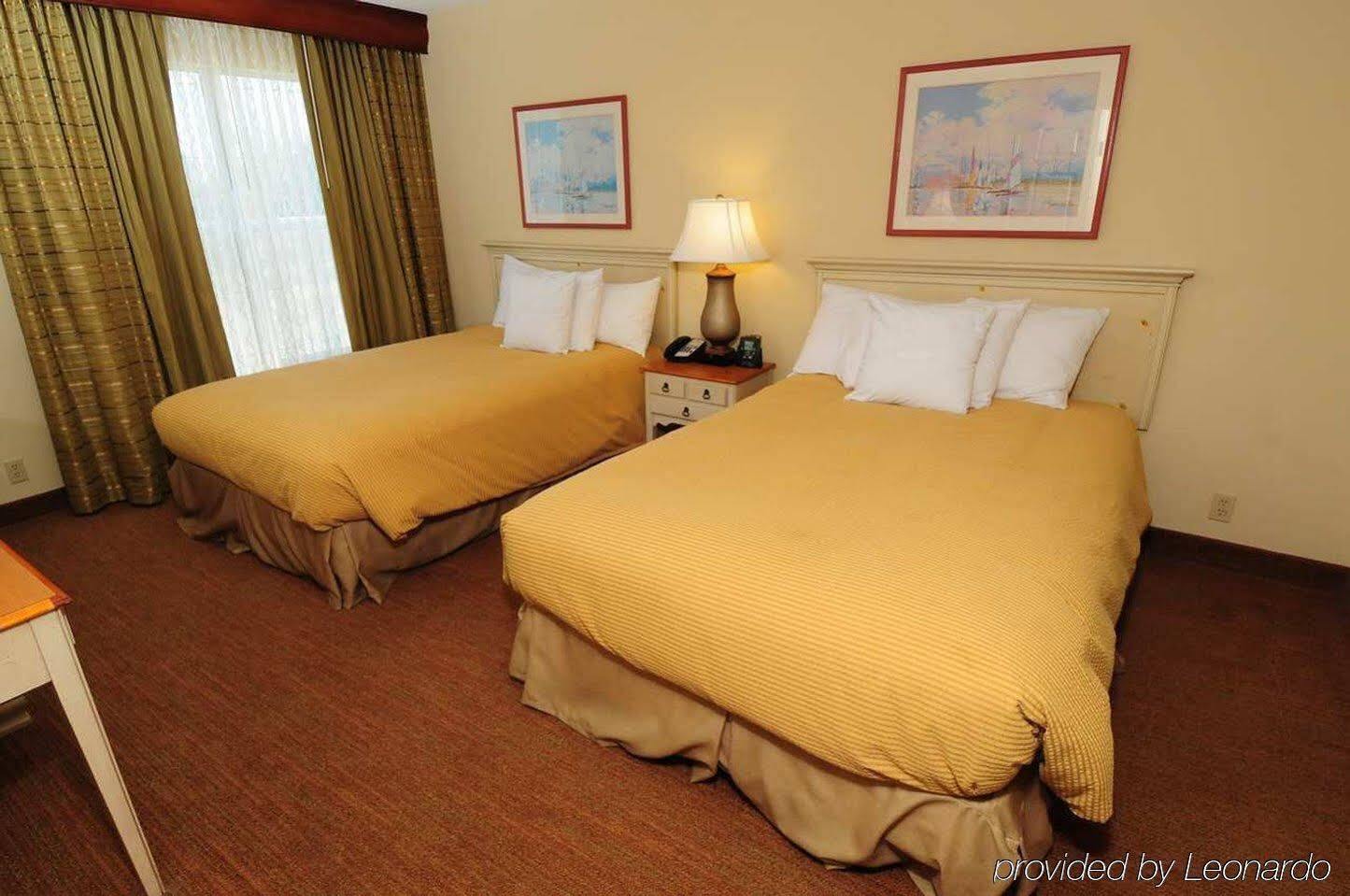 Homewood Suites By Hilton St. Petersburg Clearwater Exterior foto